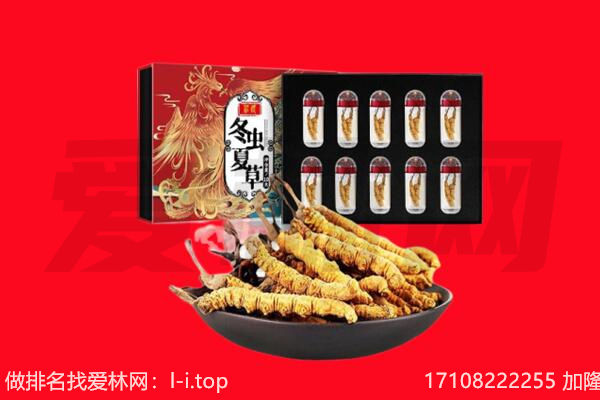 城北区虫草回收